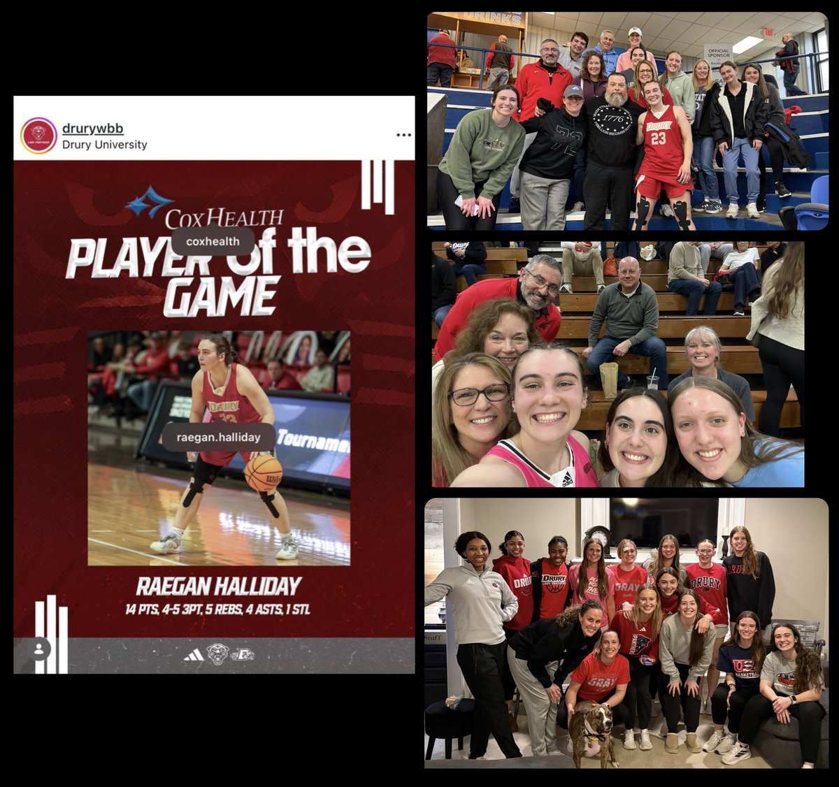 Mary Kay Halliday tweet media