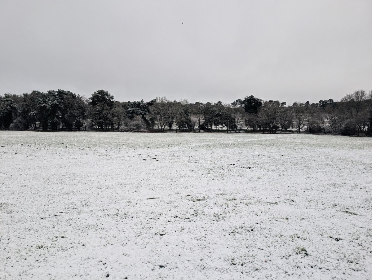 NLJ 👟🏋🏻‍♂️ tweet media