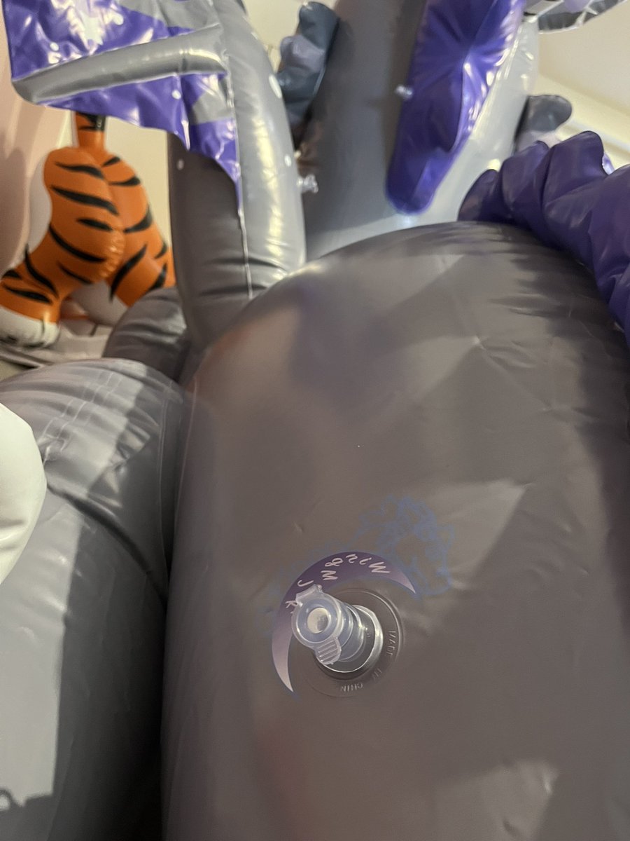 Gray (Grace) tweet media