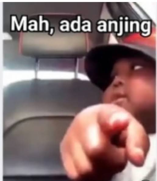 Cinnamon tweet media