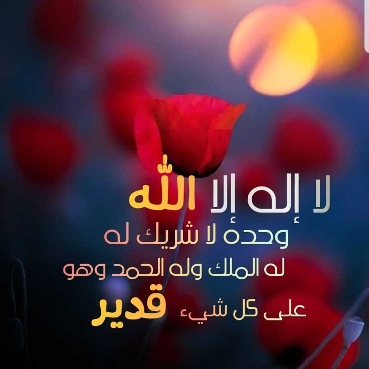 بين زحام { الدنيا } ومتاهات الدروب .. وبين هموم الأمس وأحلام الغروب‼️
تمضي رحلة { الحياة }‼️
مهما كانت الصعوبات .. ومهما كانت الكروب‼️
أهديك مفتاح الفرج - بإذن الله - لعل الأرواح تزهر .. ثم تبتسم القلوب❤️