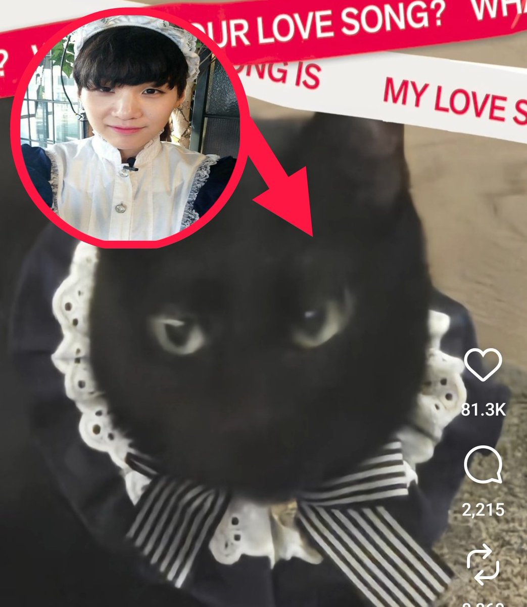 ??????????????
