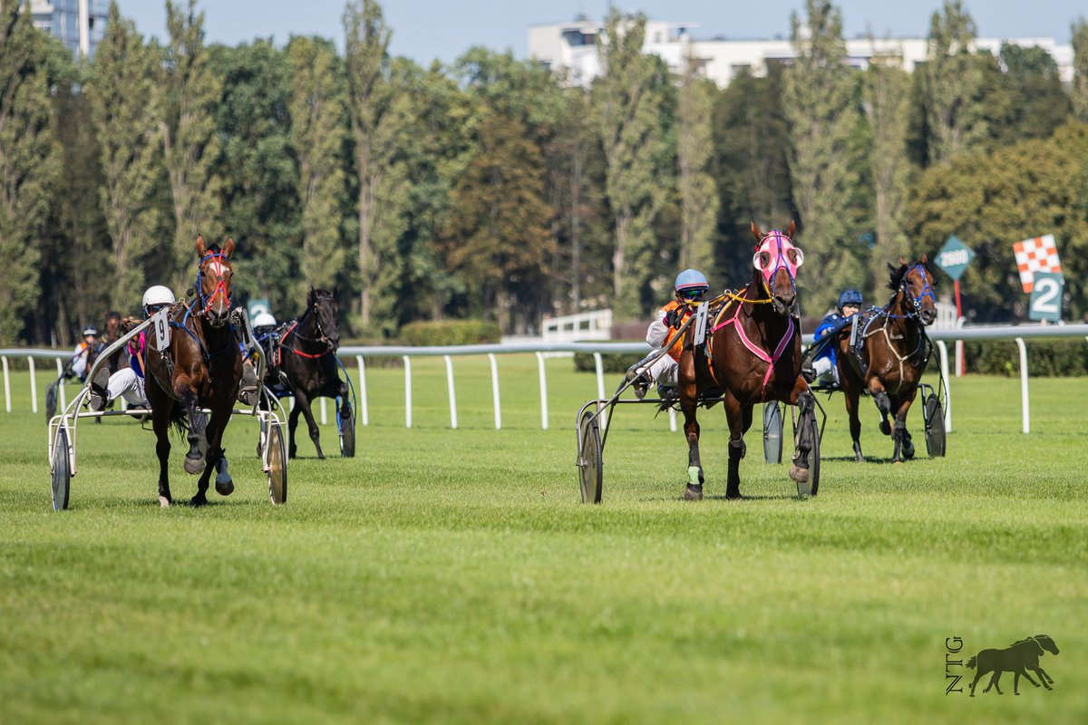 klusaki_'s tweet photo. Racing season in 🇵🇱 will begin in 74 days! We kick off at @wyscigikonne in Wroclaw on May 1st, and on May 3rd we will see you at @Tor_Sluzewiec in Warsaw 📍
#countdownstarted
📸 Nie Tylko Galop https://t.co/tr2dM1LHDq