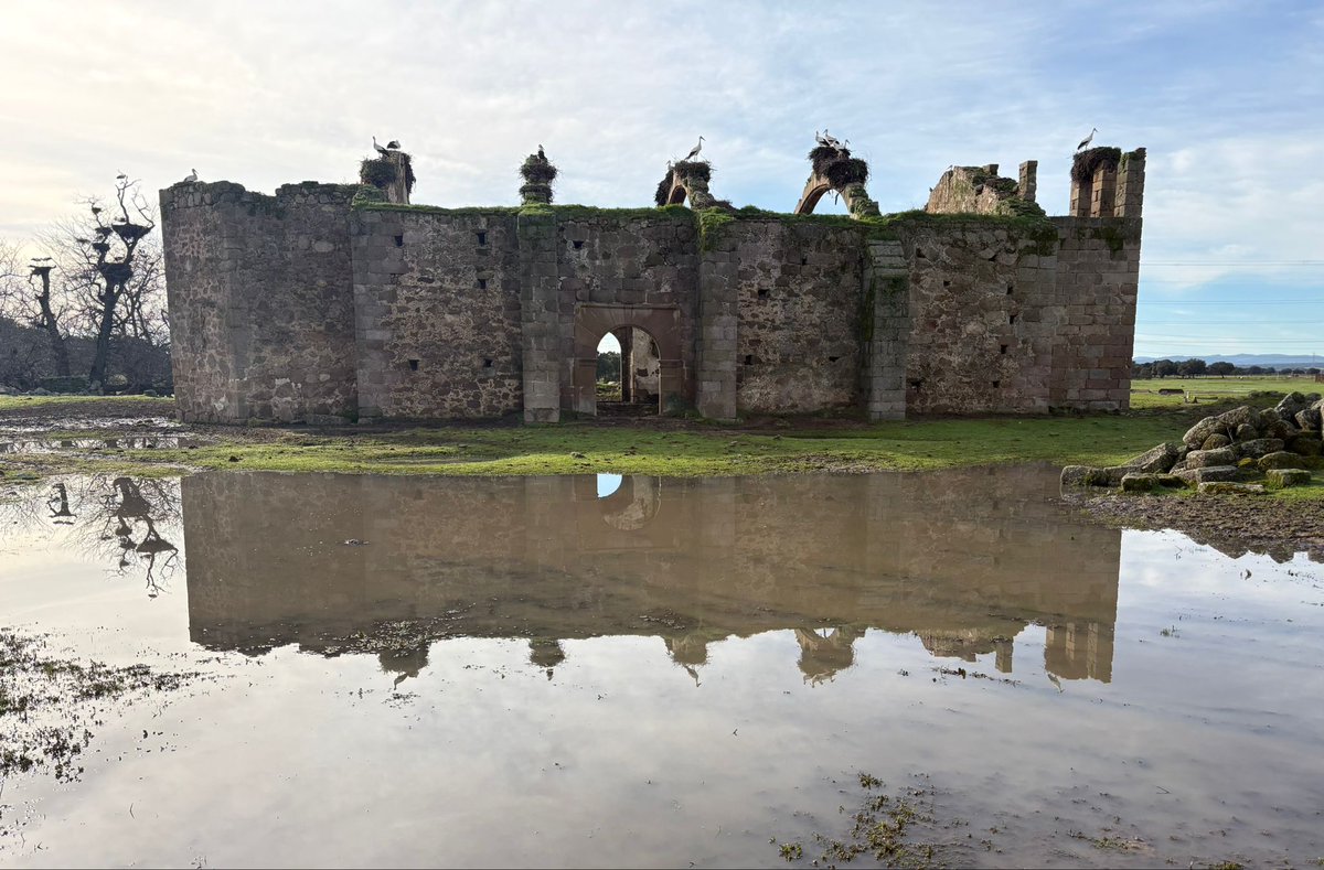 Muchos días de agua y de trabajo inagotable, pero también nos dejan estas estampas.
#Torviscoso
#SomosDePeñajara
#SolosDeCastaJijona
