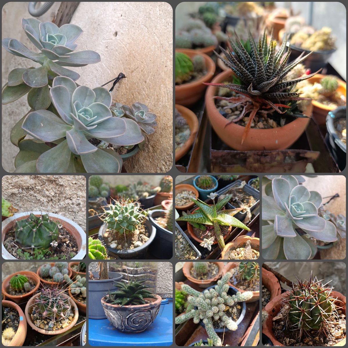 La vida se trata de momentos, no de monumentos. Tómese su café tranquilo, respire hondo y agradezca lo que tienes hoy, que mañana es una promesa que nadie a firmado todavía.