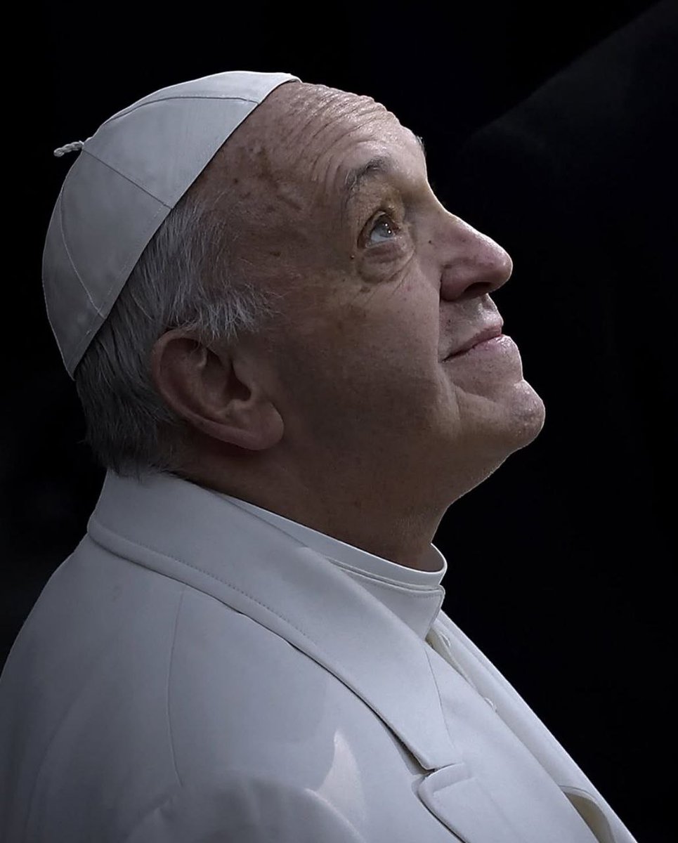 «La única situación en la que es lícito mirar a una persona desde arriba, es para ayudarla a levantarse».

~Papa Francisco