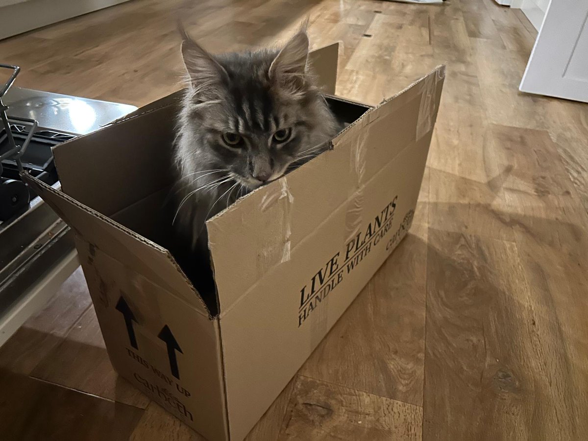 Cry 'Havoc!', and unbox the cats of war.