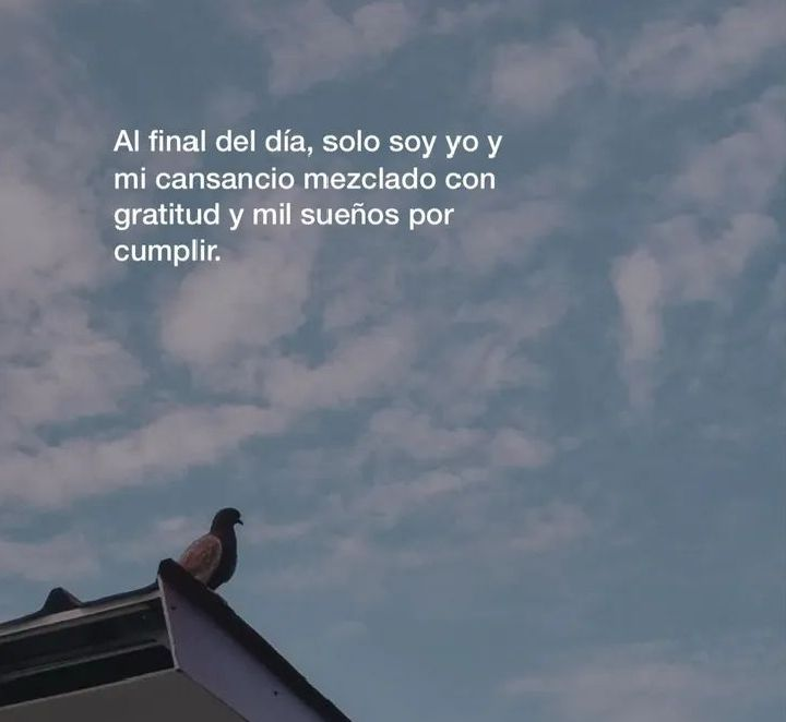 BANDIDOS (@bandidosfrasess) on Twitter photo 