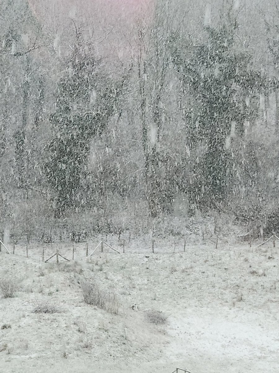 <a href="/Poesjen1973/">Poesjen!😺</a> Groeten uit Valkenburg aan de Geul
