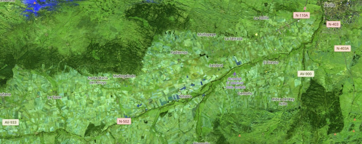 Miguel Ángel Jiménez tweet media