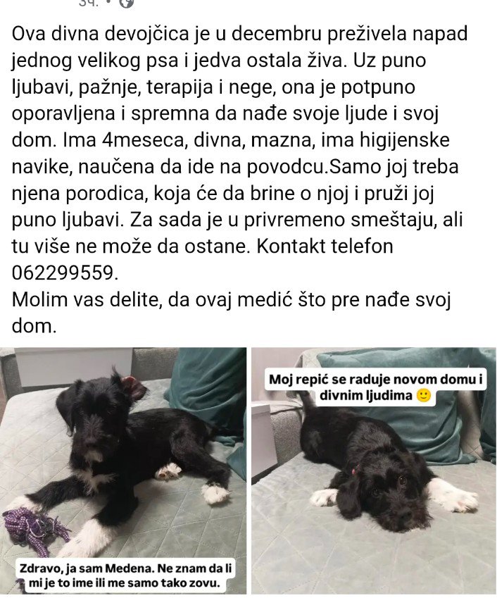 ArtifiJUS's tweet image. Ajmo, jak retvit sad odmah! 
Curica traži svoje ljude♥️