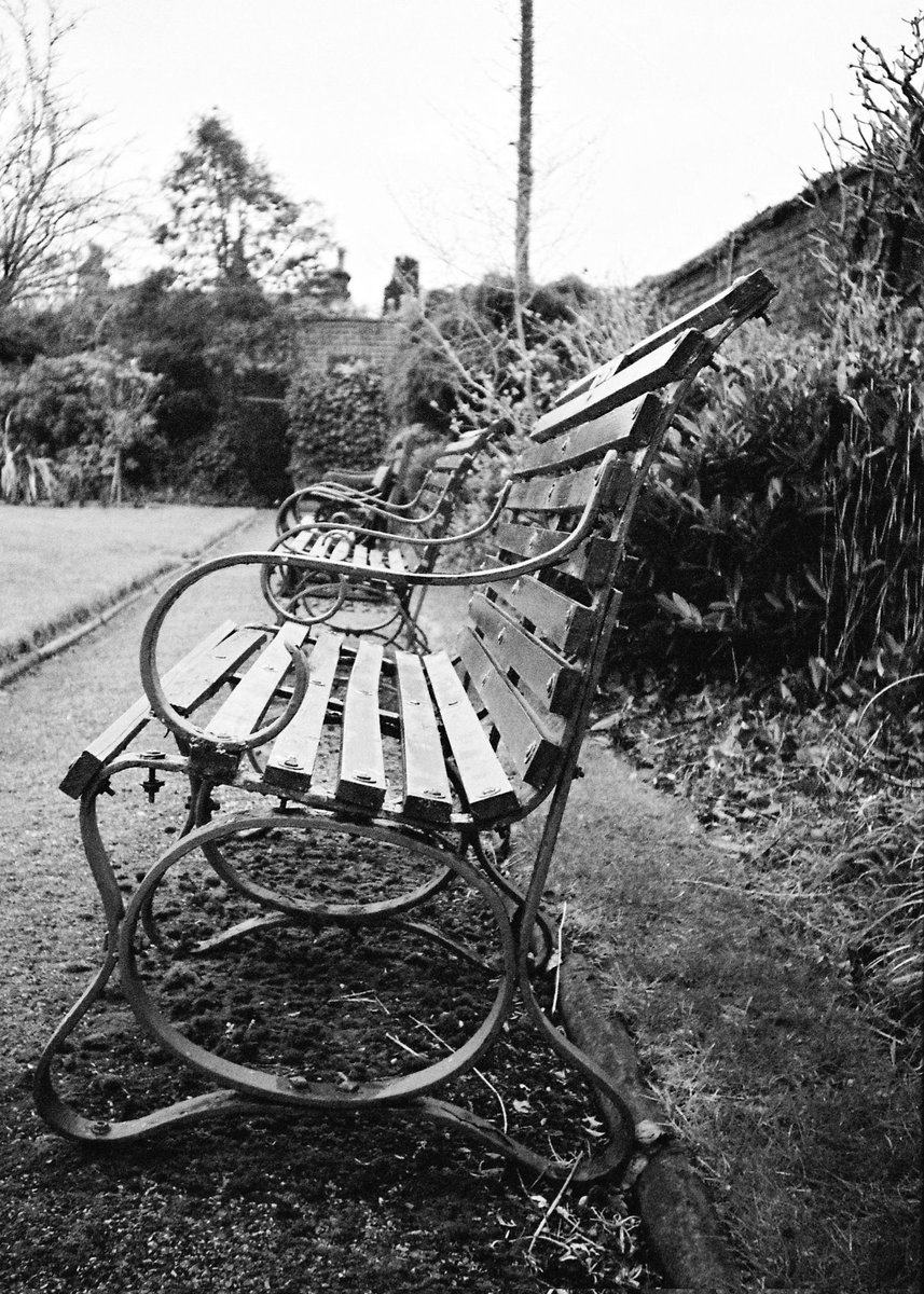 Stephen Currie tweet media