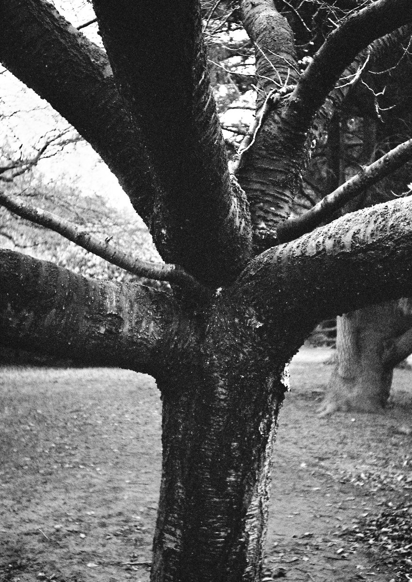 Stephen Currie tweet media