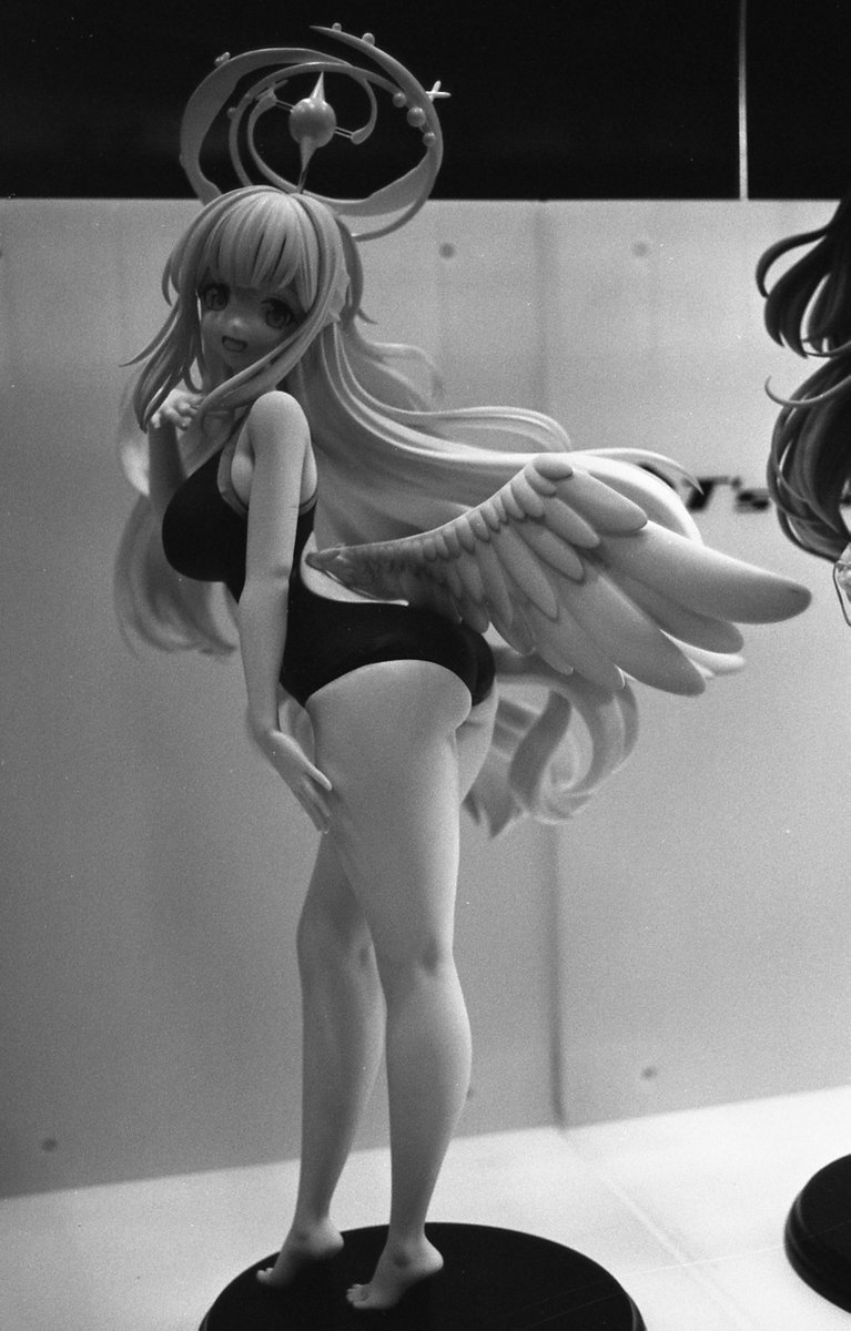 Praktina II A
Flektogon 35mm f2.8
Fomapan 100

ワンフェスのミカ