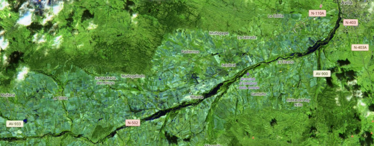 Miguel Ángel Jiménez tweet media