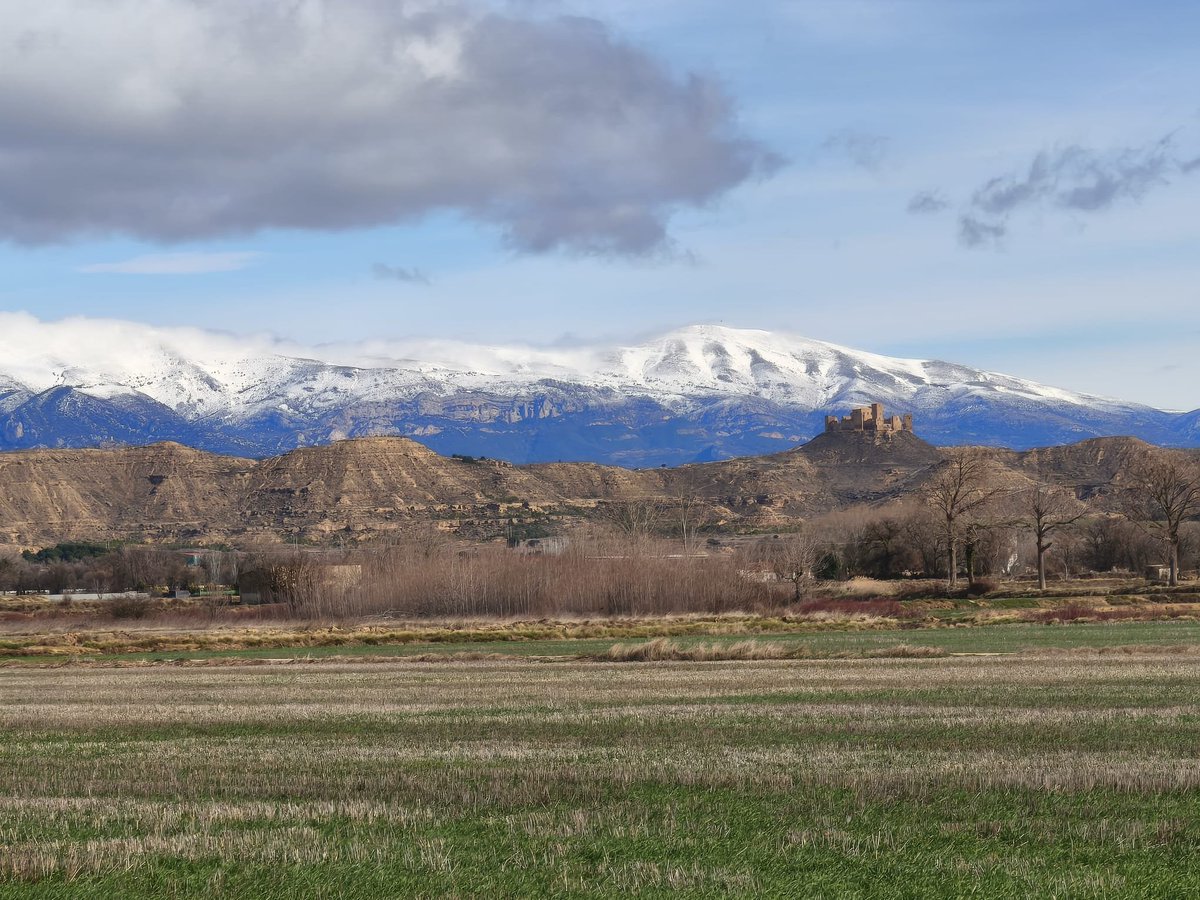 IGEAR_Aragon's tweet photo. ☀️ Mañana soleada en @HoyadeHuesca / Plana de Uesca, con la imponente Sierra de Guara al fondo y el majestuoso Castillo de Montearagón, construido en 1085 por el rey Sancho Ramírez, segundo monarca de la Casa de Aragón.

Un paisaje que invita a caminar sin prisas y disfrutar de la tranquilidad del entorno.