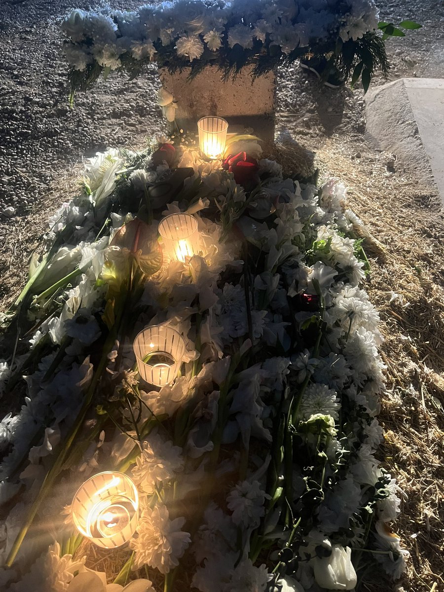 تی تی 🦋 tweet media