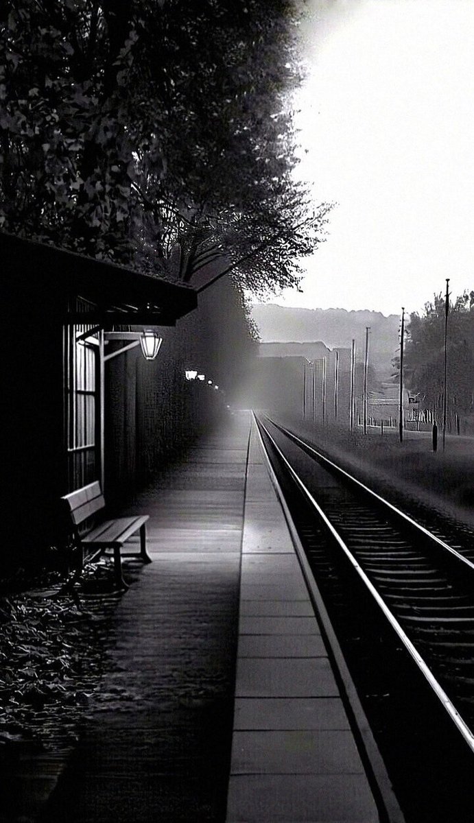 The dance of light and shadow..✤