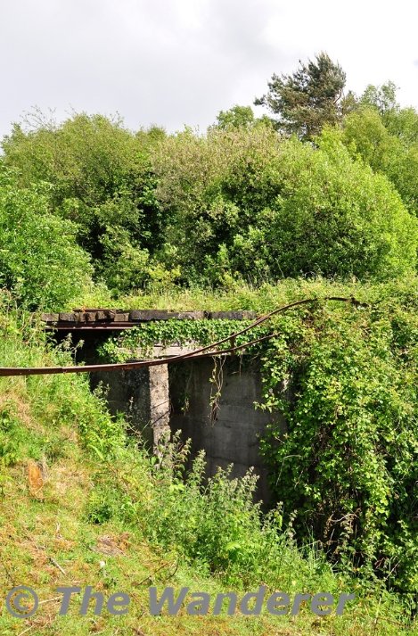 Free Centrist State of Derryounce tweet media