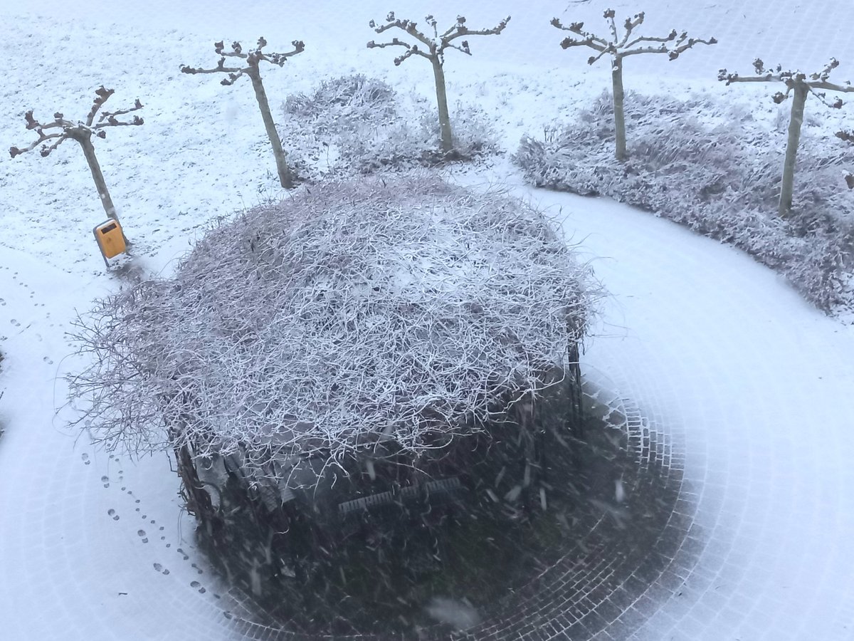 DanielvdSterren's tweet photo. #sneeuw #sliedrecht #winter #weer https://t.co/MK0kghWTHQ