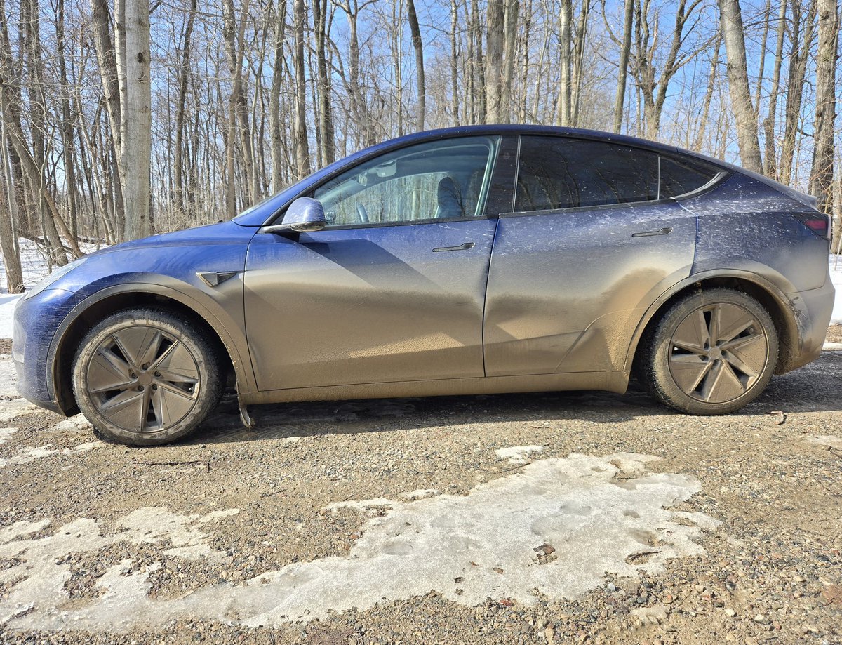 Wife Of Dirty Tesla tweet media