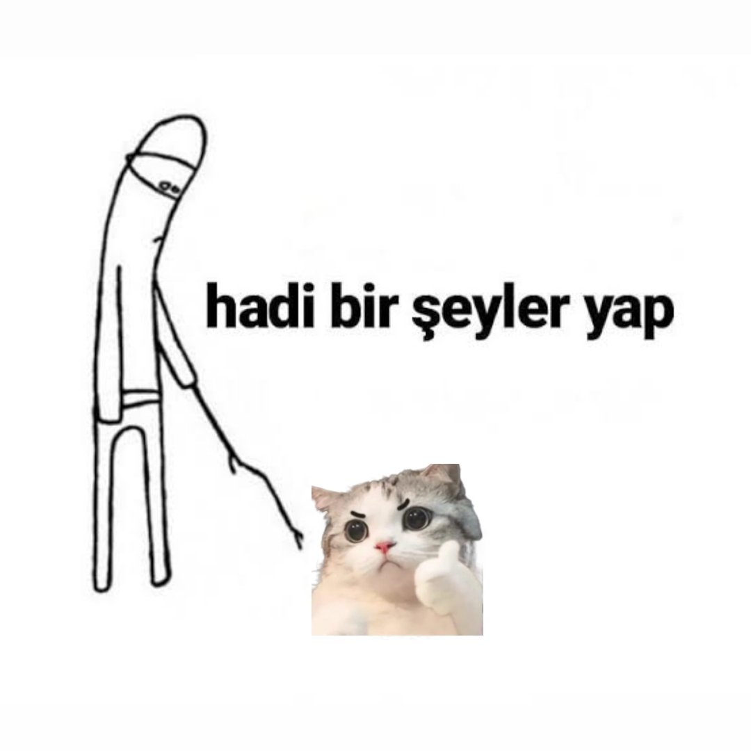 Ravqrest tweet media