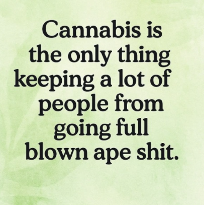 Herb Approach tweet media