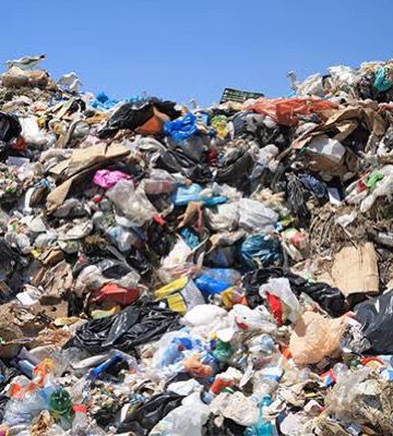 Pakistan Cricket team 
#PAKvIND 

Expectations                    reality