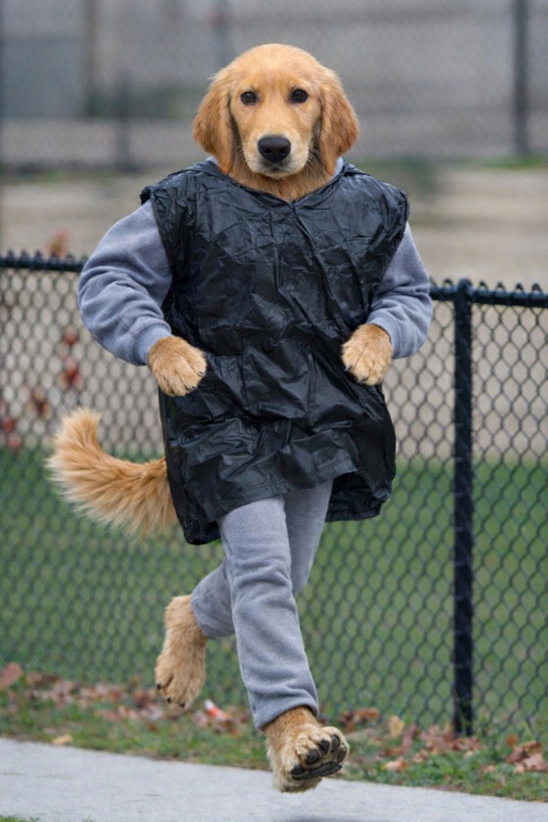 TheRealBarkingPuppy (@barkingpuppy8) on Twitter photo 