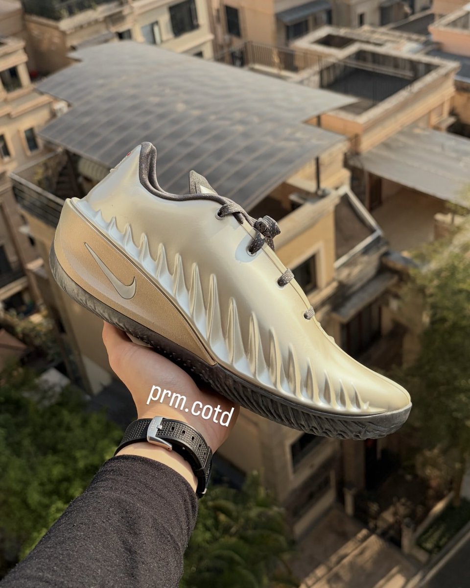 Sole Retriever tweet media