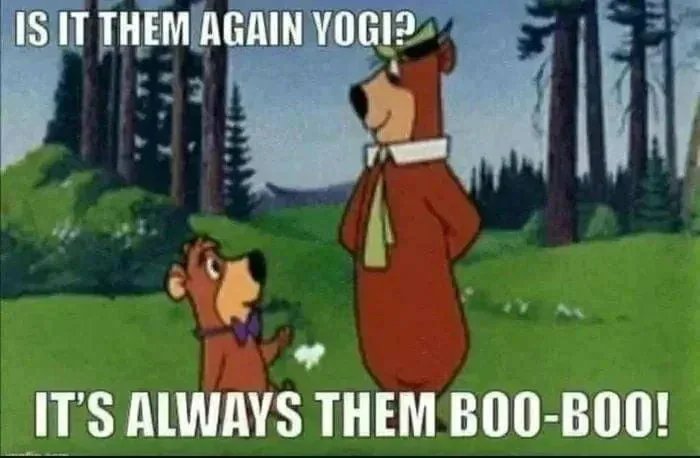 Murtles 🧳 tweet media