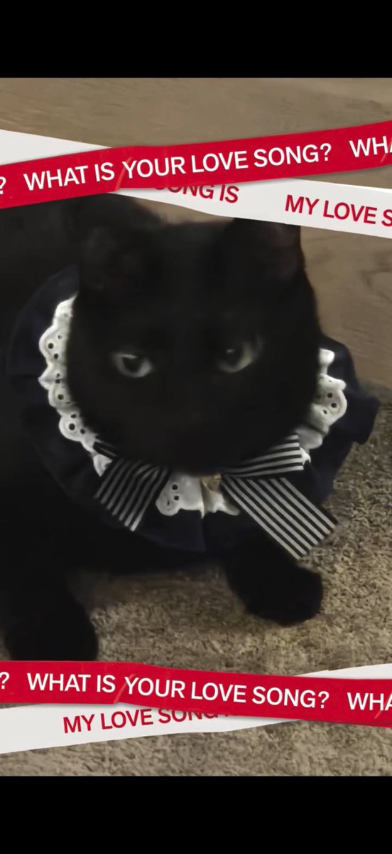 このかわいいレースはミンユンギの趣味ですか？ #whatisyourlovesong