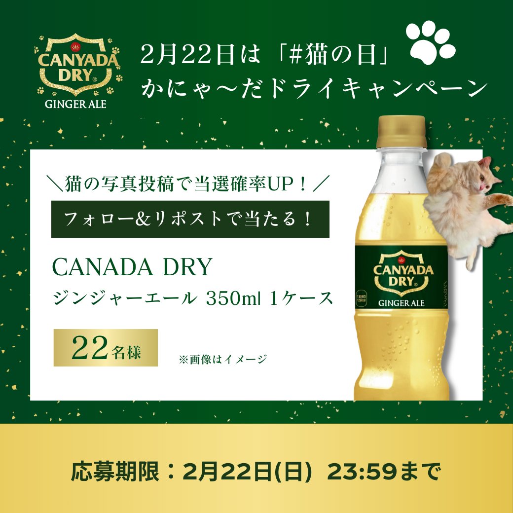 ＼2月22日は「#猫の日」にゃ🐈／

抽選で22名様に「かにゃ～だドライ ジンジャーエール350ml 1ケース」をプレゼント！🐾

🙀応募方法
❶<a href="/hokkaidoccbc/">北海道コカ･コーラ【公式】</a>をフォロー
❷本投稿をRP
➌さらにご自慢の「猫の写真」をリプライで当選確率UP！✨

📅締切
2月22日(日) 23:59まで