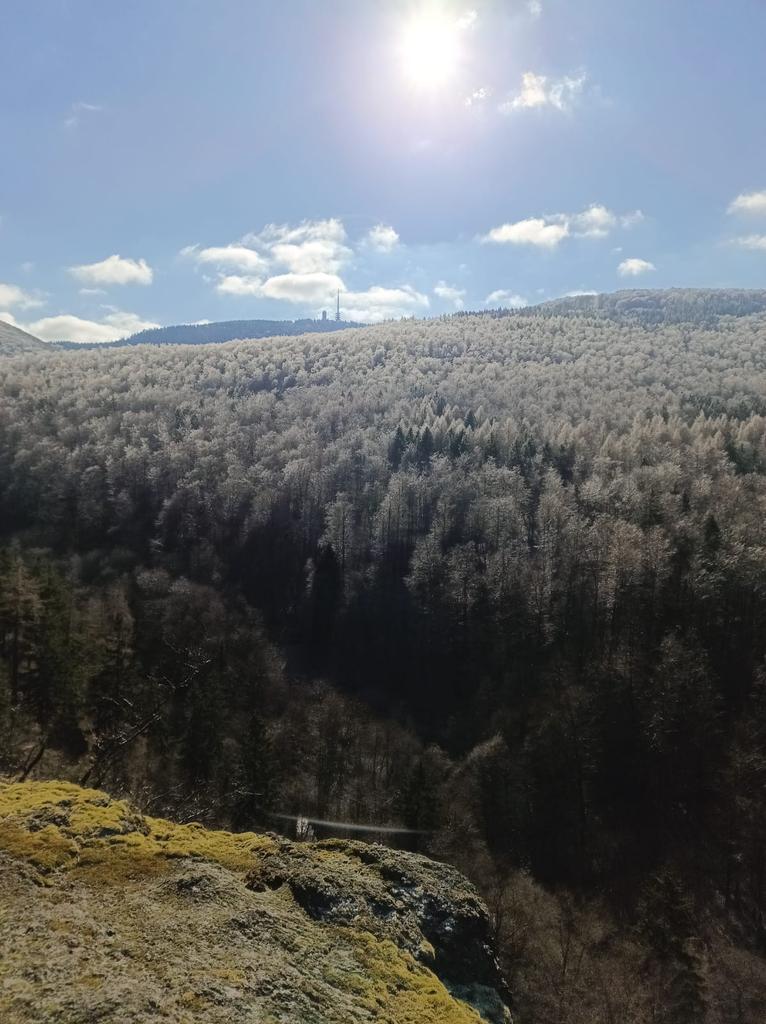 Vorhin waren wir (meine Mutter, meine Freundin und ich) mit dem Hund draußen. Zwischendurch sind wir auf den sogenannten Treppenstein geklettert und wurden mit dieser Aussicht belohnt 😍
