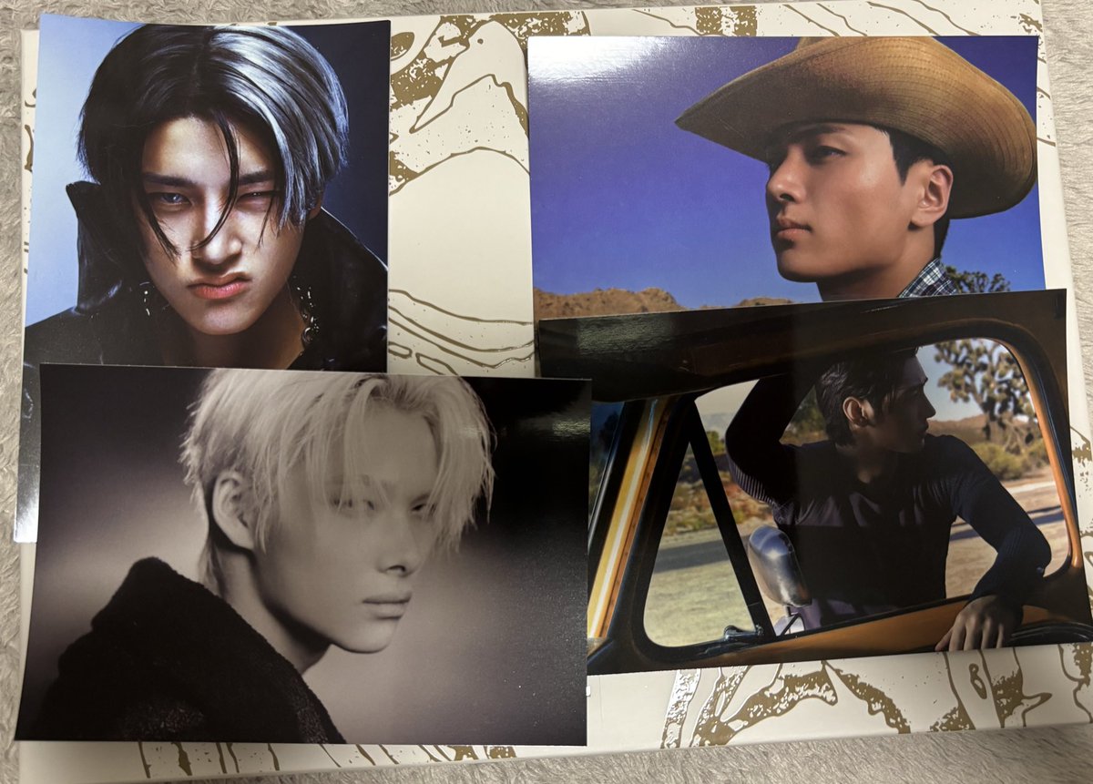 ENHYPEN THE SIN:VANISH トレカ エナプ 交換 譲 ヒスン ジェイ