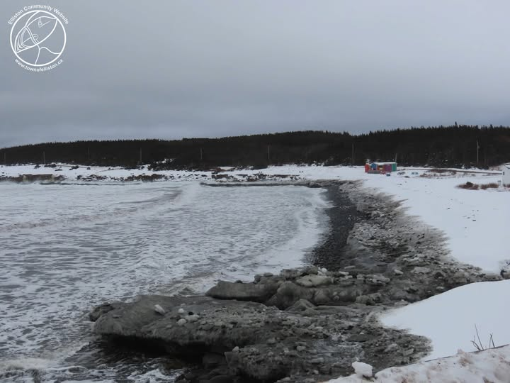 Town of Elliston tweet media