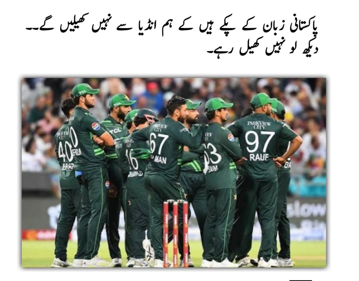 ہم پاکستانی اپنی زبان کے بہت  پکے ہیں آہو