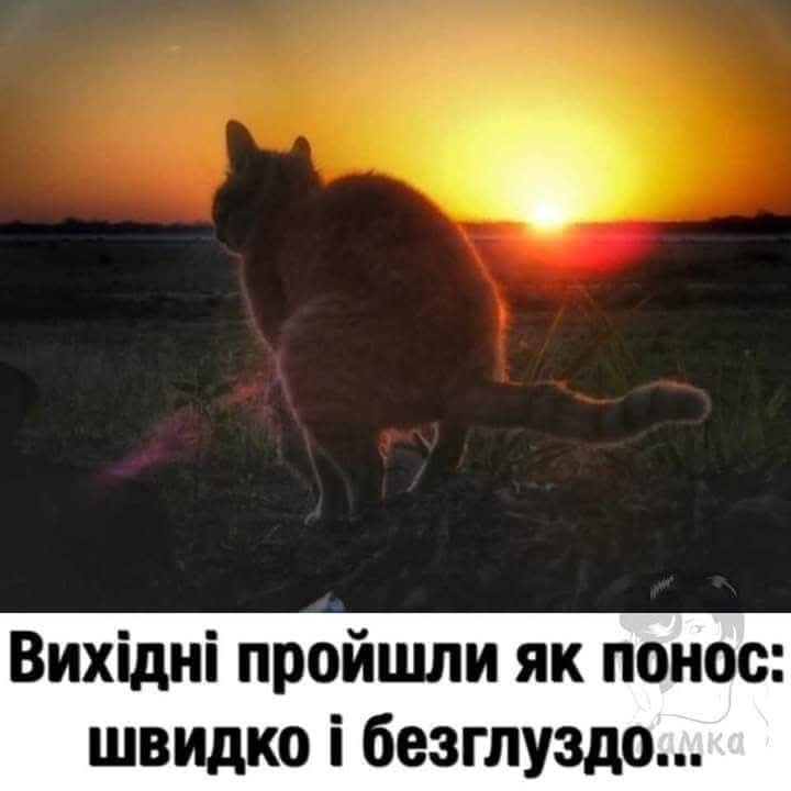 Interceptor. tweet media