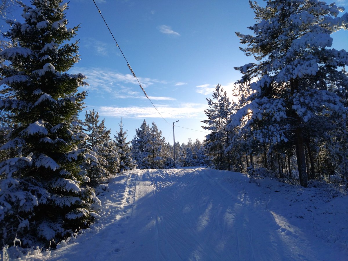 Birch Brother 🪓 tweet media