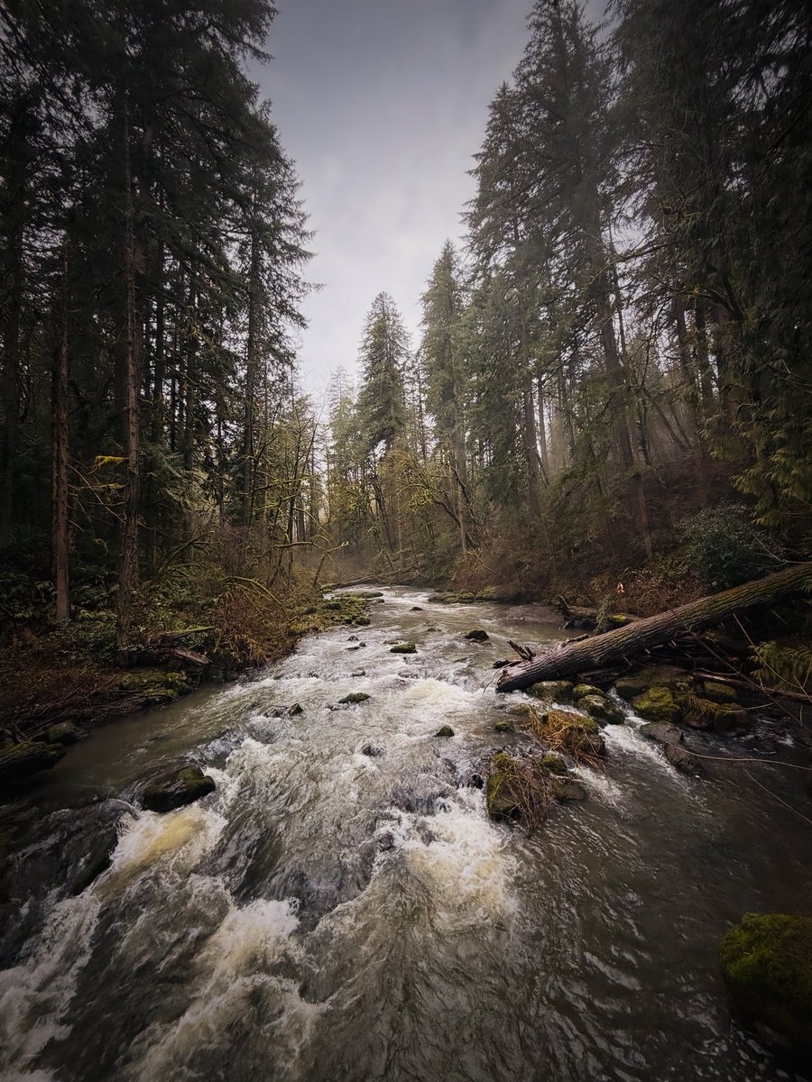 Freedom Fighter tweet media