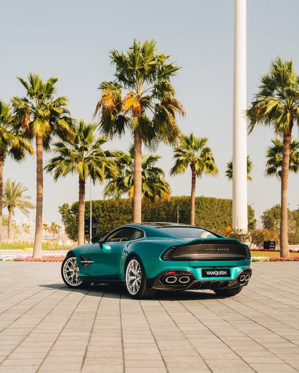 هليّـل tweet media