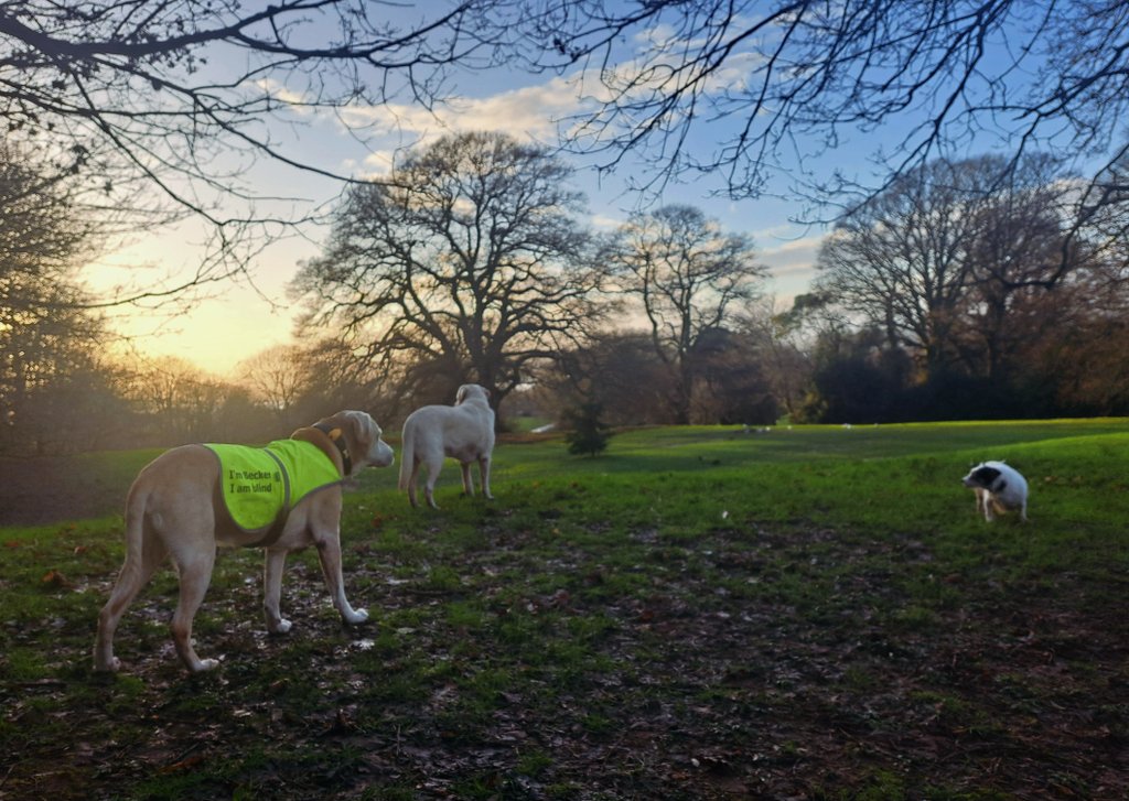 Proper lush end to the day.