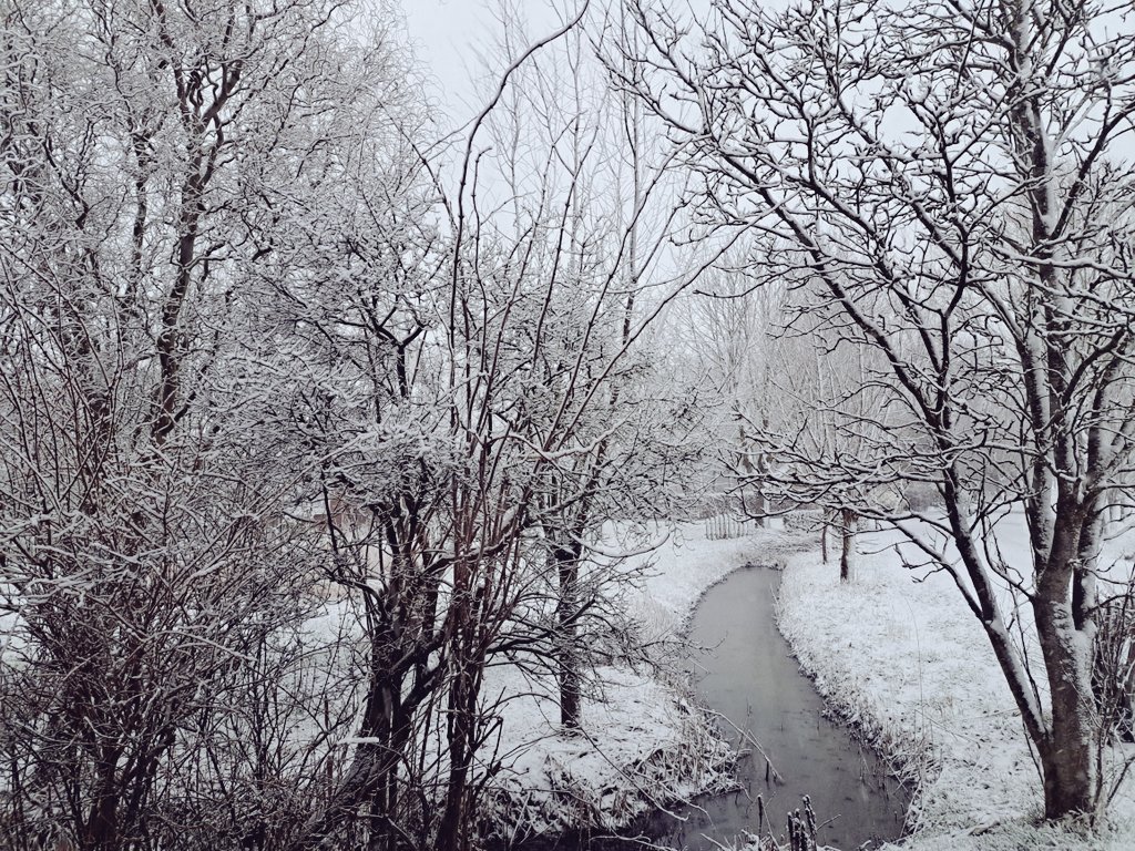 Anneke Bode 🌿 tweet media