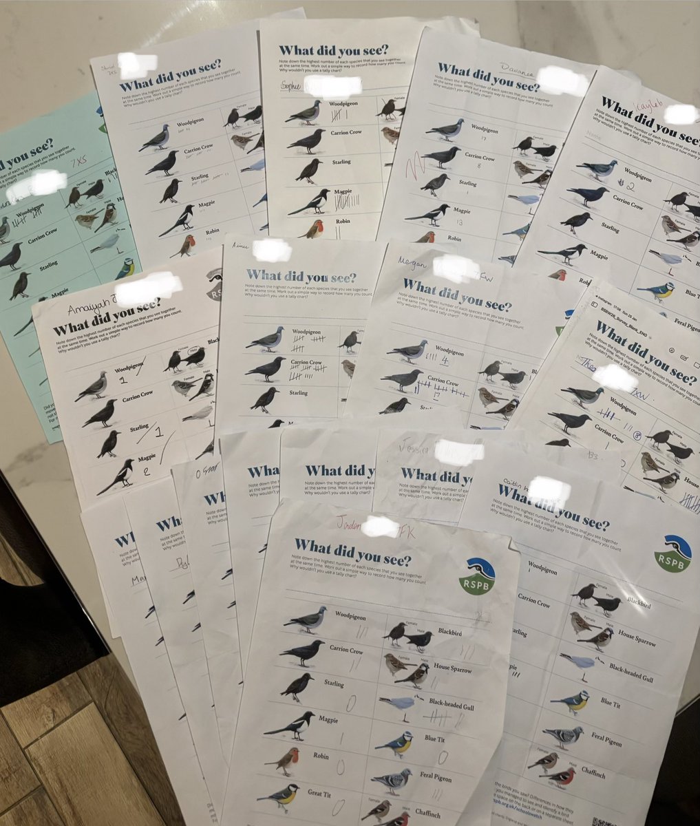 FairfaxSciTech's tweet photo. 🐦✨ Our Year 7 &amp; 8 students joined the @RSPB Big Birdwatch, gathering valuable data to support research into wild bird populations and behaviour. Real science. Real impact. #BigBirdwatch #FutureScientists #scienceclub https://t.co/gooH2onCDs