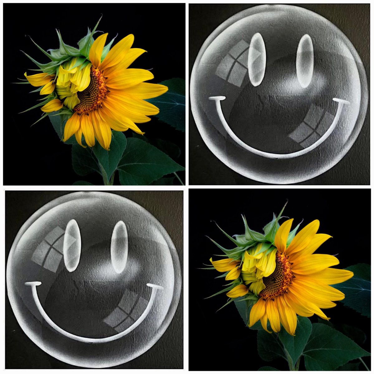 damier furtif et fortuit ✨️#ouxpo 
papier peint potentiel plein de sens
( plein de plomb ou pas hein )