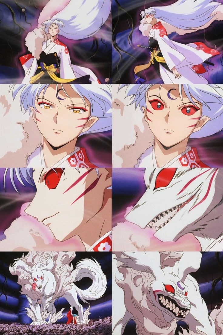 #Sesshomaru
#杀生丸