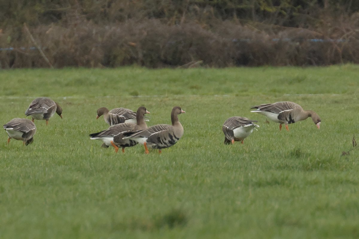 Gary H (@buzmor1) on Twitter photo 