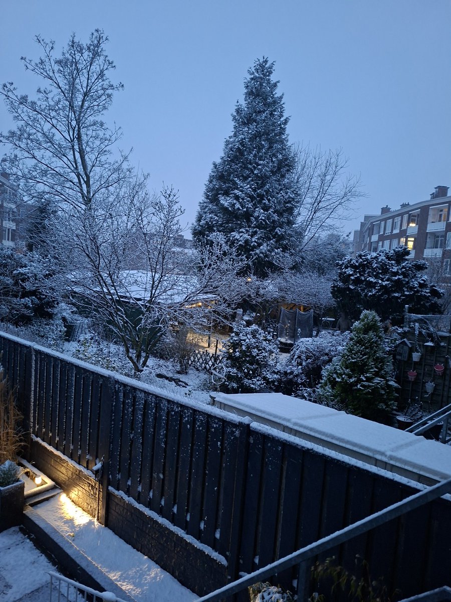 Rob Ravestein tweet media