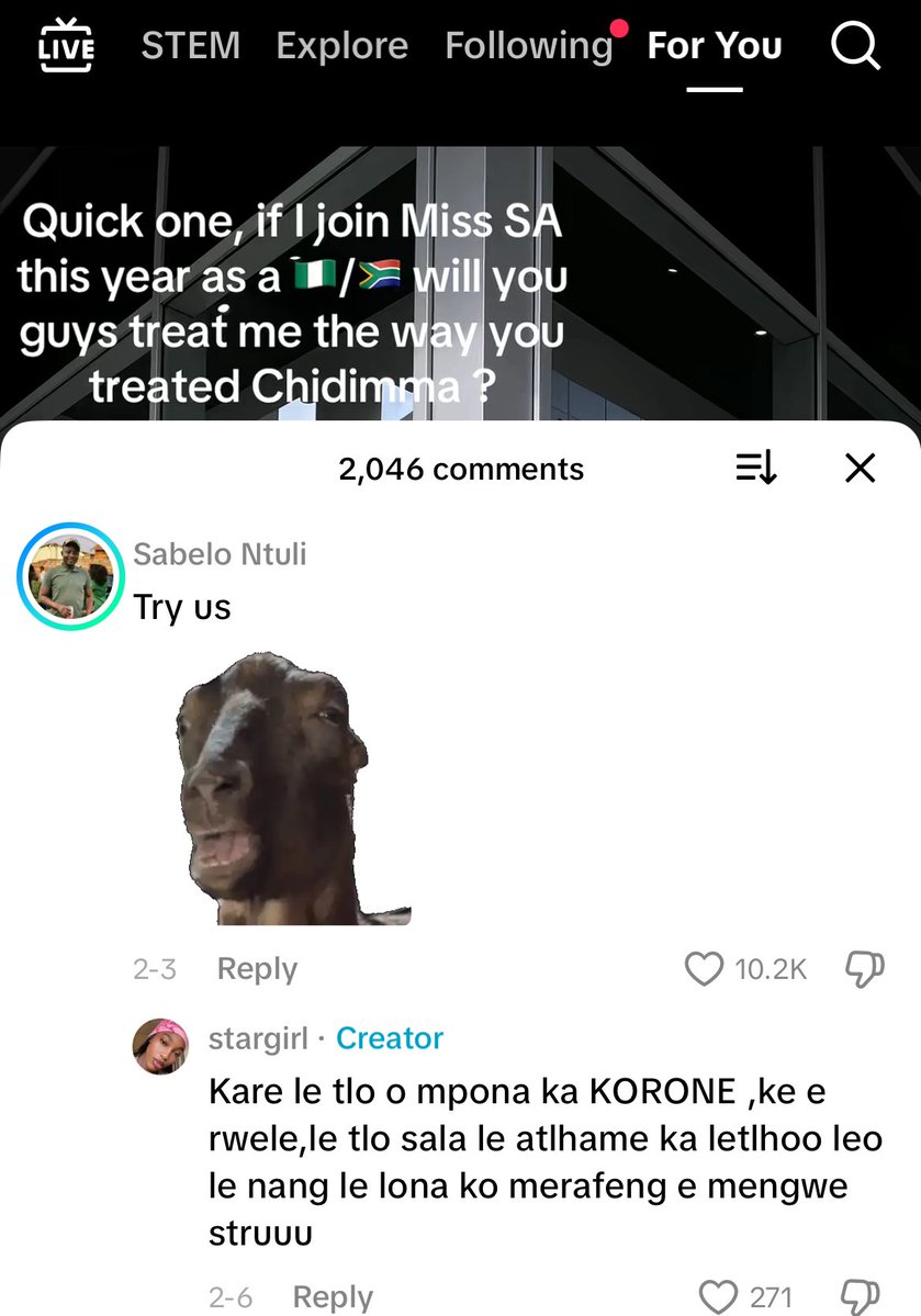 destinyzee's tweet image. There’s a girl on TikTok she has a Nigerian father and South African mother, she asks if she enters Miss SA will you guys treat her the same way as Chidimna?