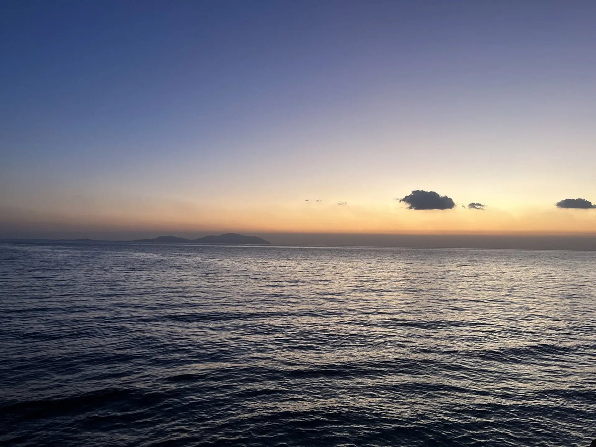 🏁rozzergA tweet media